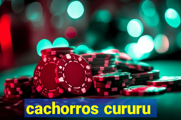 cachorros cururu